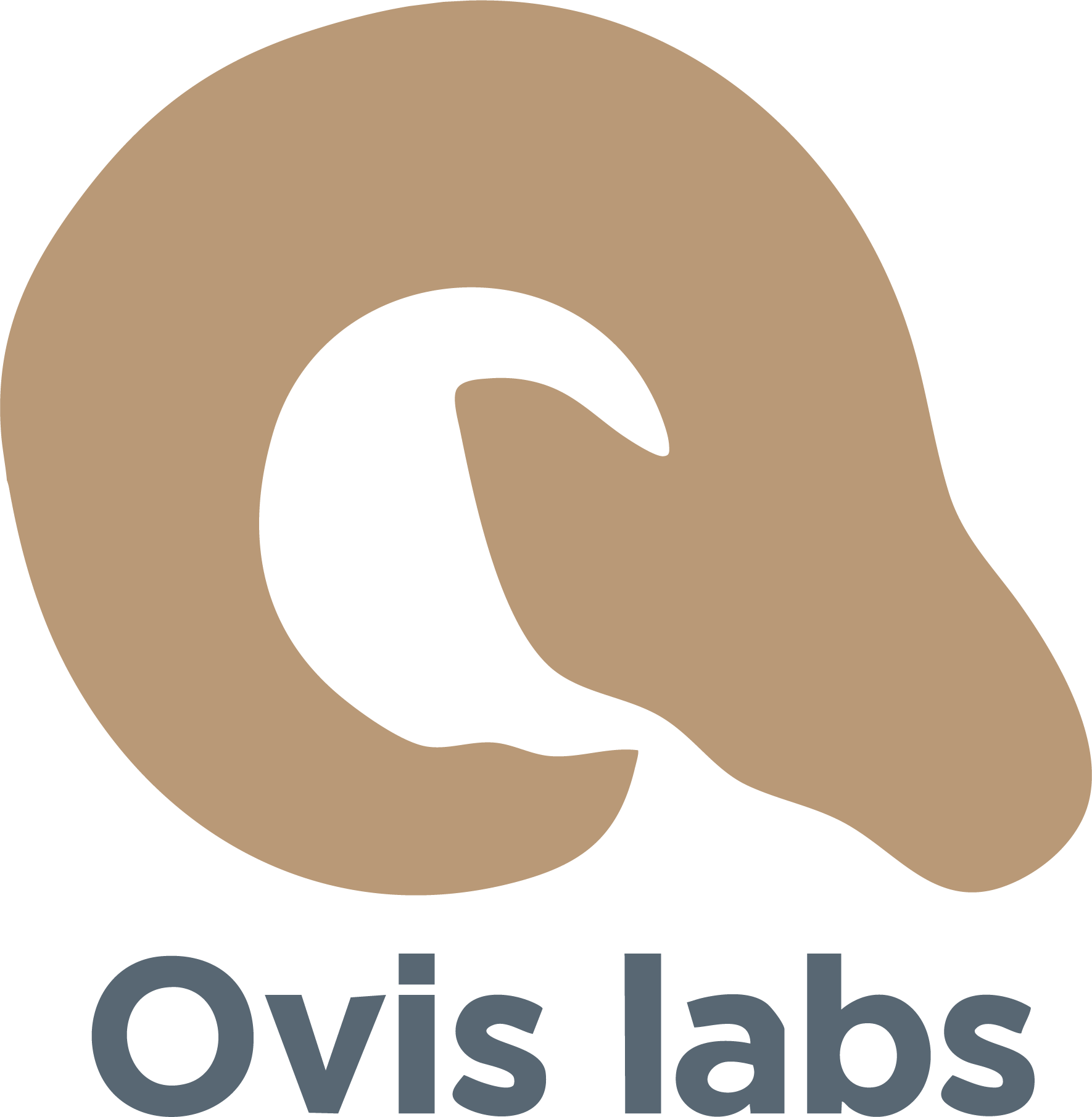 Ovis Labs